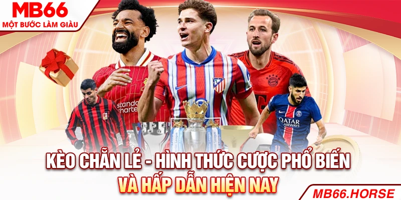 kèo chẵn lẻ ảnh đại diện