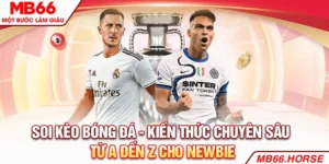 soi kèo bóng đá ảnh đại diện